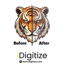 idigitize