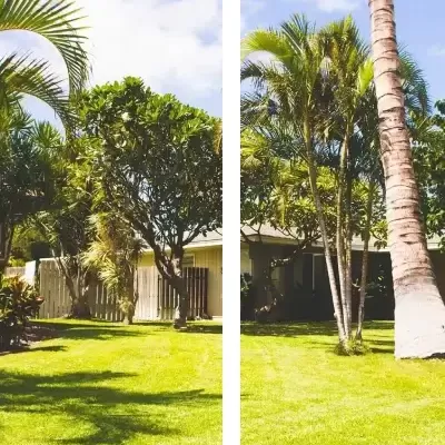 ainalandscaping