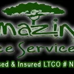 treeserviceamazing