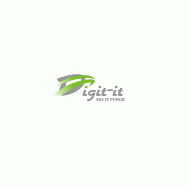 digit_it_digitizing