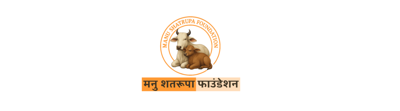 msfoundation