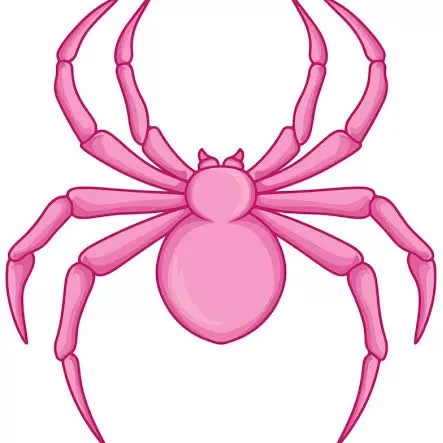 spiderhoodiess